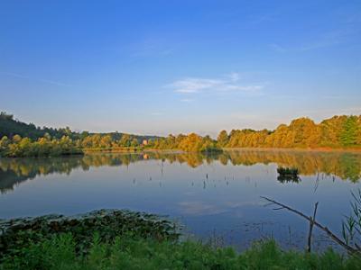 5 PASSEGGIATE PER RILASSARSI NEL VERDE